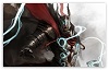 Raider Rakkasans's Avatar